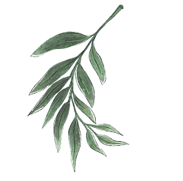 Folha decorativa